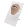 Simulated 3D Mouth Model Piercing Practice Silicone Mouth Model with Acrylic Stand for Jewelry Display Dark Skin Color