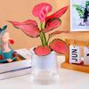 Yousheng Self Watering Plant Pot Flowerpot with Drainage Holes And Transparent Water Reservoir Indoor Self Watering Planter for Home Office Decor