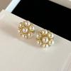 2023 New Popular Brand Vintage Earrings Luxury Jewelry for Women Fashion Designer Eardrop Pearl Lady Party Snowflake Ear Stud