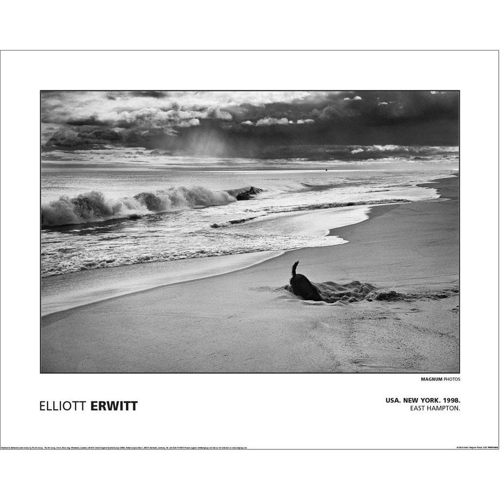 MAGNUM Elliot Erwitt - USA Nowy Jork East Hampton 1998 Druk na papierze