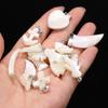 10Pcs Natural Shell Pendant Mother Of Pearl Small Charms For Jewelry Making DIY Necklace Earrings Accessory, Crafts