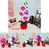 Phalaenopsis Decorative Faux Plant With Durable Silk And Plastic For Home Decor