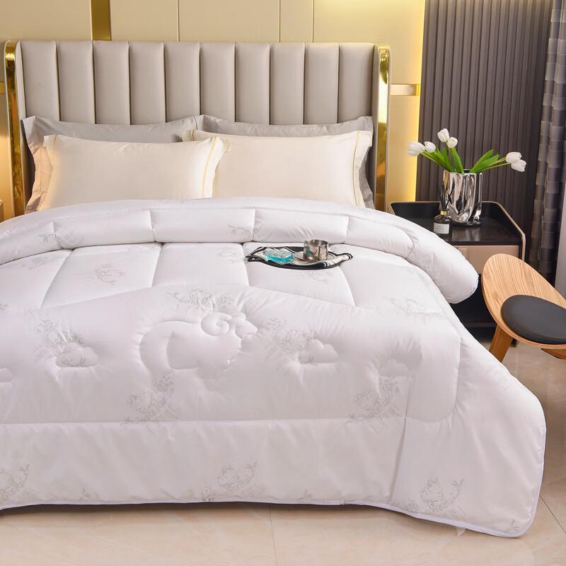 Conch Home Warm Polyester Fiber Quilt