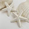European and American Holiday Style Ins Metal Color Starfish Pendant Necklace for Women Beach Personality Star-shaped Thick Rope Necklace