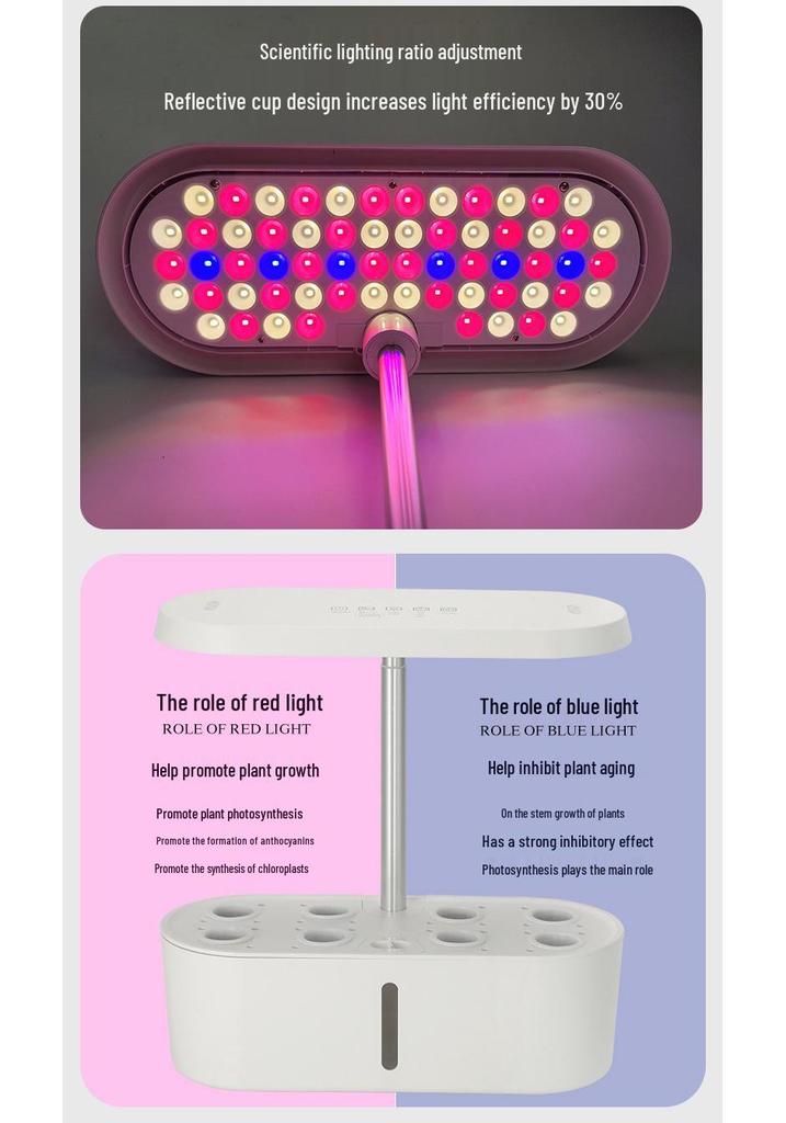 Fully Automatic Hydroponic Vegetable and Flower Growing System