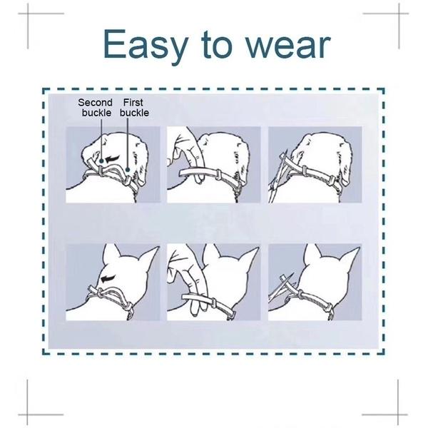 bayer seresto large dog