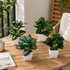 Desktop Ornament Home Decor Ring Plastic Green 1 Pc