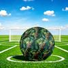 1pc Jungle Frog Adventure Theme Soccer Ball Football, Size 5, Lightweight PVC, Outdoor Training Soccer Ball,Sports Gift t61459