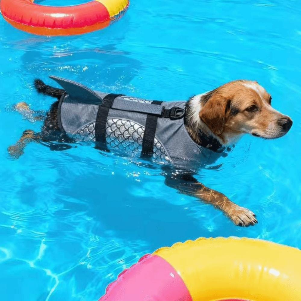 Strong Buoyancy Dog Life Jacket Shark Fin Style Quick Drying Puppy Safety Vests Shiny Scales Adjustable Pet Life Vest Pet Safety