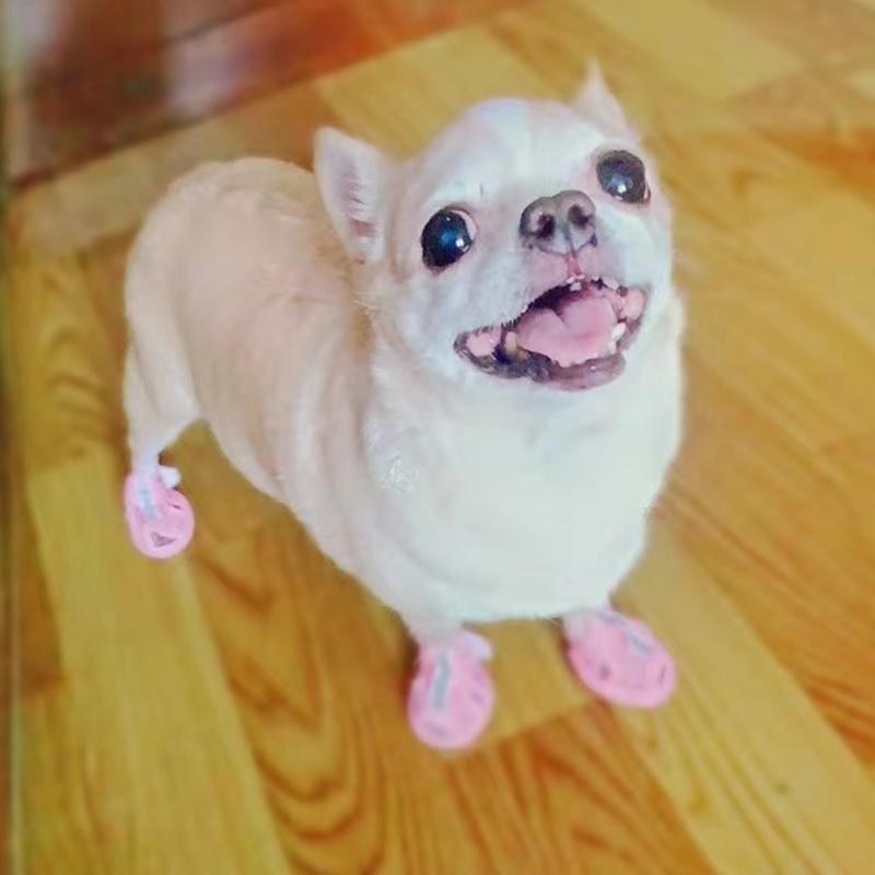 4 Stück Sommer Netz Haustier Sandalen Schuhe Für Kleine Hunde Anti-Rutsch Kuhsehnen Sohle Welpen Hund Sneaker Chihuahua Mascotas Zubehör