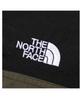 The North Face Compact New L Men's Jacket, Water-Repellent, Lightweight, Taupe,