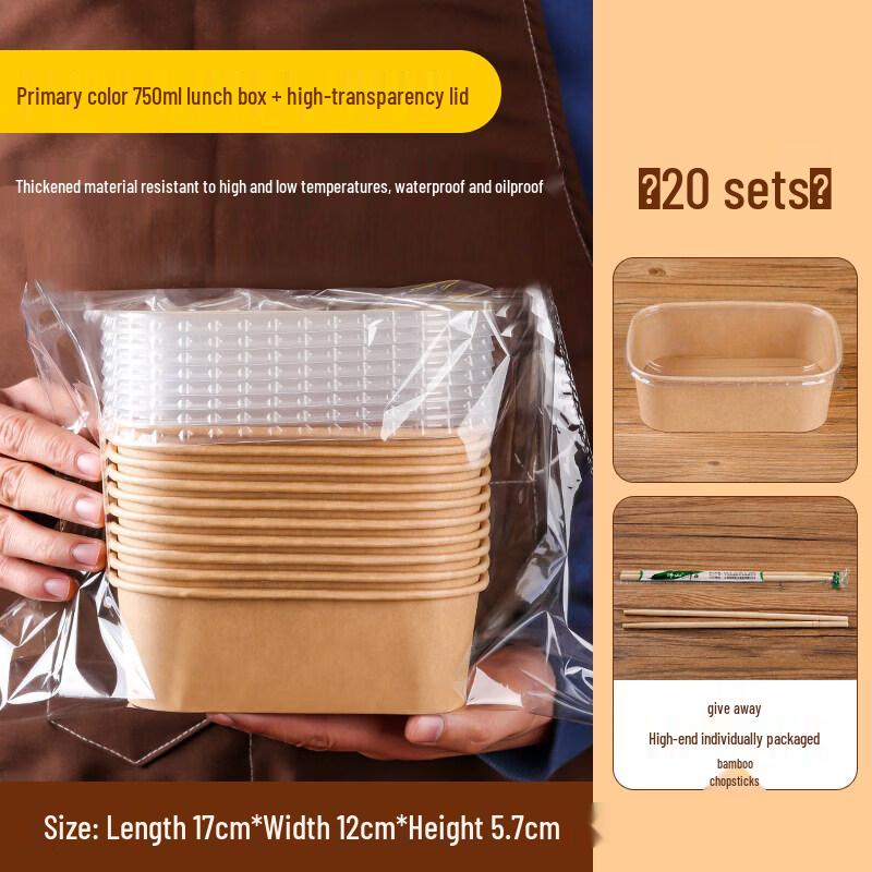 

Disposable Picnic Bento Box