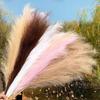 3pcs Large Artificial Pampas Grass 120cm Tall Fluffy Faux Reed Boho Home Wedding Decor Fake Flowers
