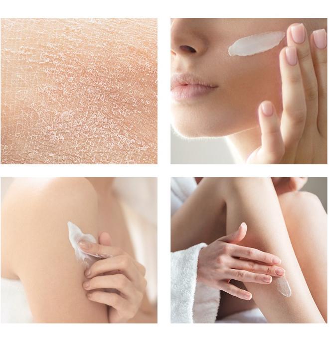 The Derma Factory Skin Barrier Cream 150g – Ceramide Repair & Moisture Care