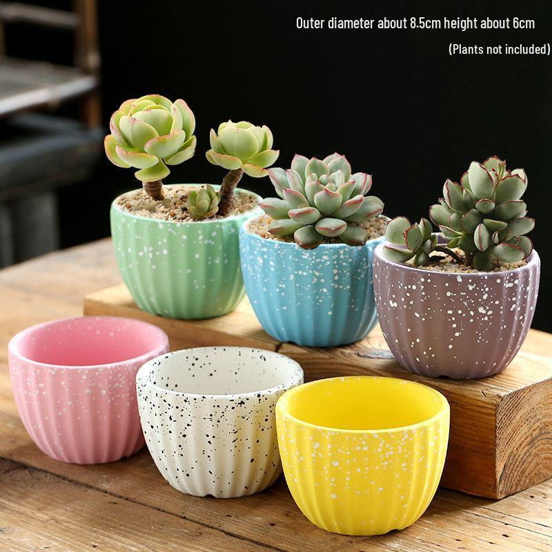 Breathable Ceramic Indoor Succulent Planter Set - Creative Small Flower Pots