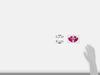 HASEPRO Magical Carbon [Rear Emblem] (Pink) Toyota Noah / VOXY