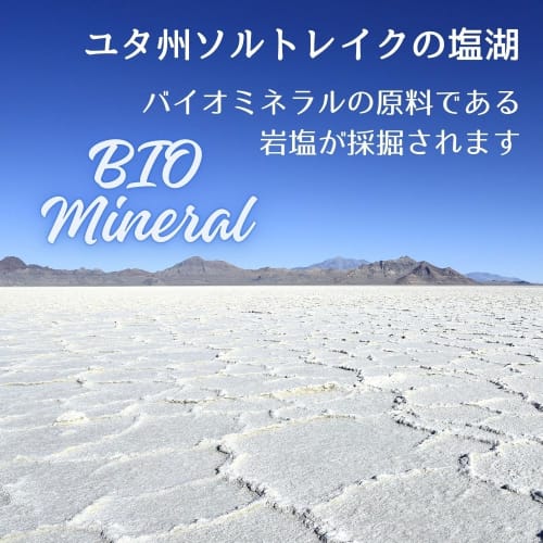 Biopaste Mild 17g Mini Toothpaste, Fluoride-Free, Additive-Free, Organic, Breath Control, Non-Abrasive, All-Natural Toothpaste Gel for Kids (Pack of 3