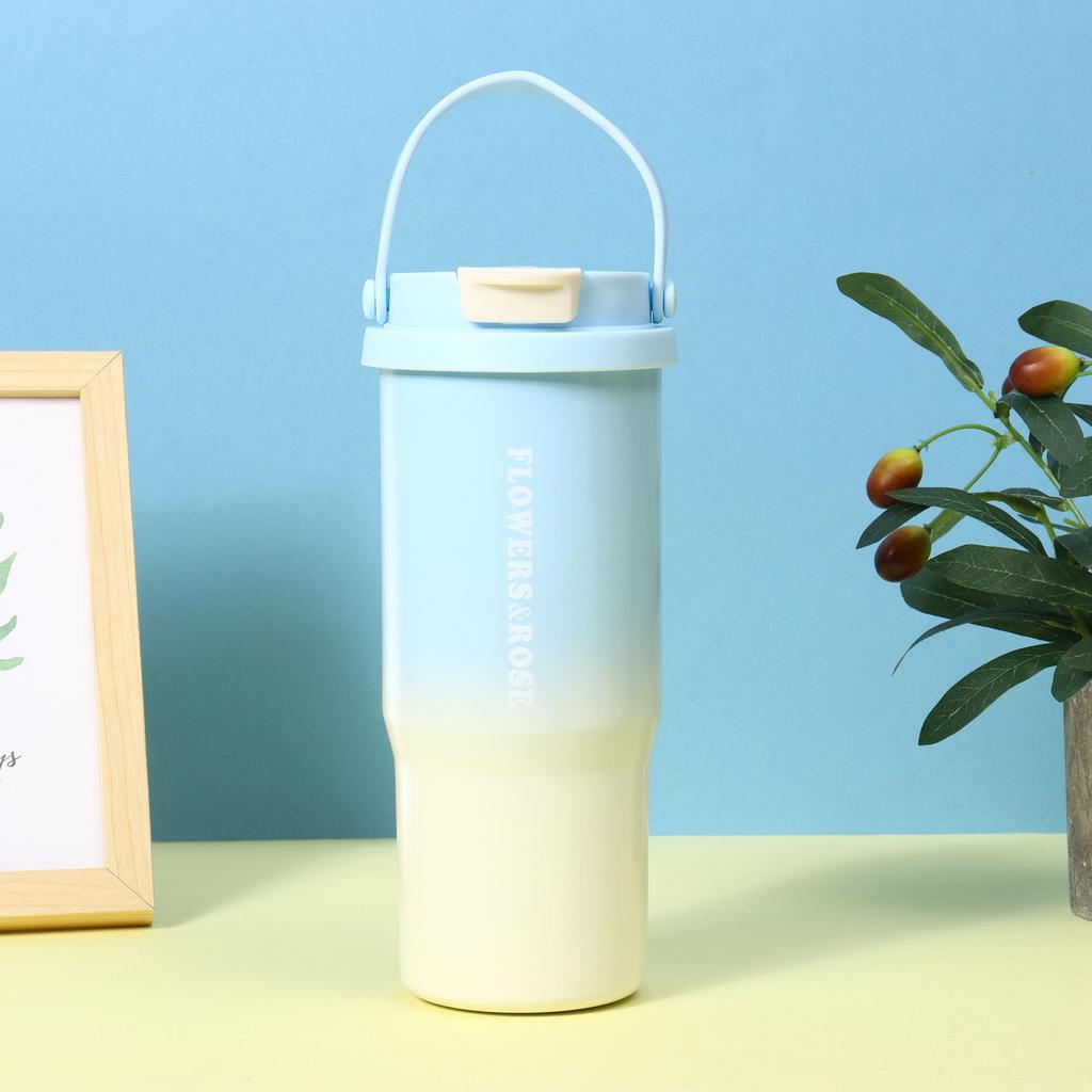 Stylish 316 Stainless Steel Insulated Cup - Portable Sports Water Bottle & Dual-Drink Straw for Outdoor Use