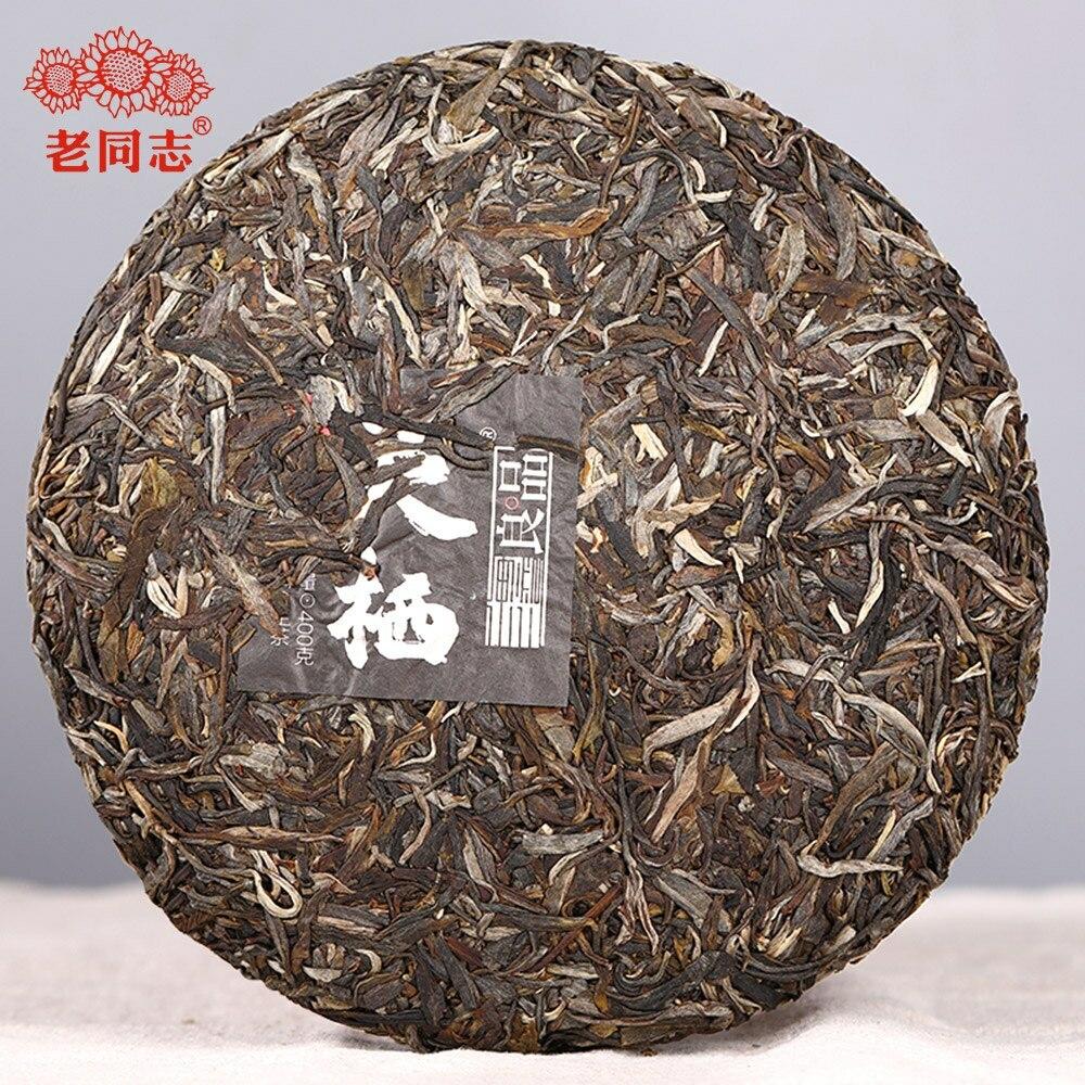 Raw Puer Tea Cake 400g Haiwan Sheng Puerh Plant Spirit