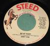 7inch Record ANDY KIM - Be My Baby / Love That Little Woman STA729 STEED 1970 US Rock Used
