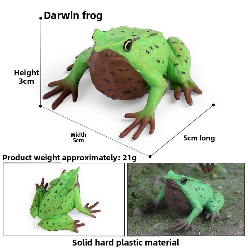 Animal Childrens Frog Plastic Model Toy For Educational Play Gift Collectors