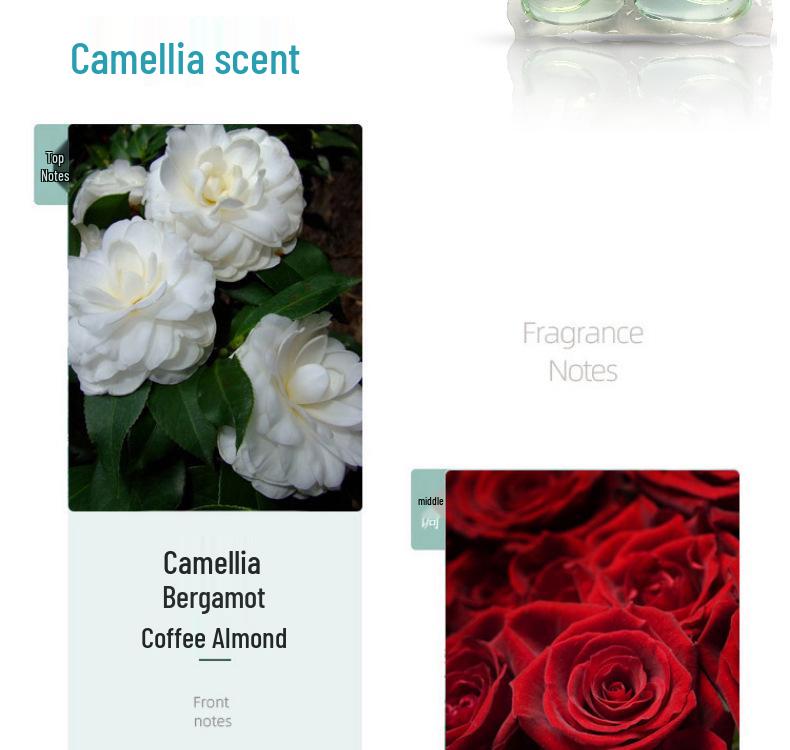 Camellia 5-in-1 Laundry Pods: Long-Lasting Scent, Powerful Stain Removal, Perfume-Infused Detergent Balls