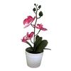 Compact Design Fake Flower Plant Phalaenopsis Bonsai Easy To Style