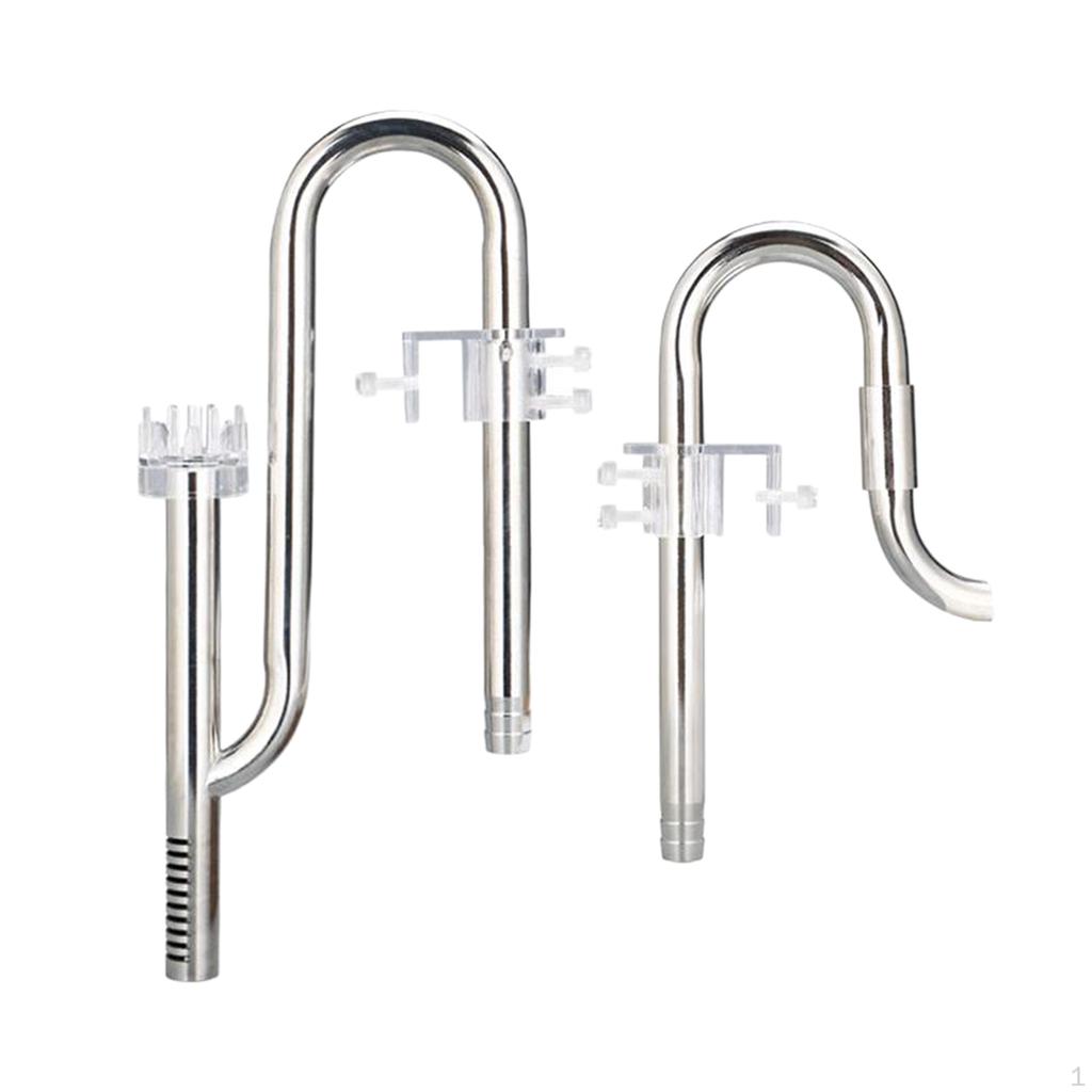 Lily In for Aquarium Planted Tank (12MM )