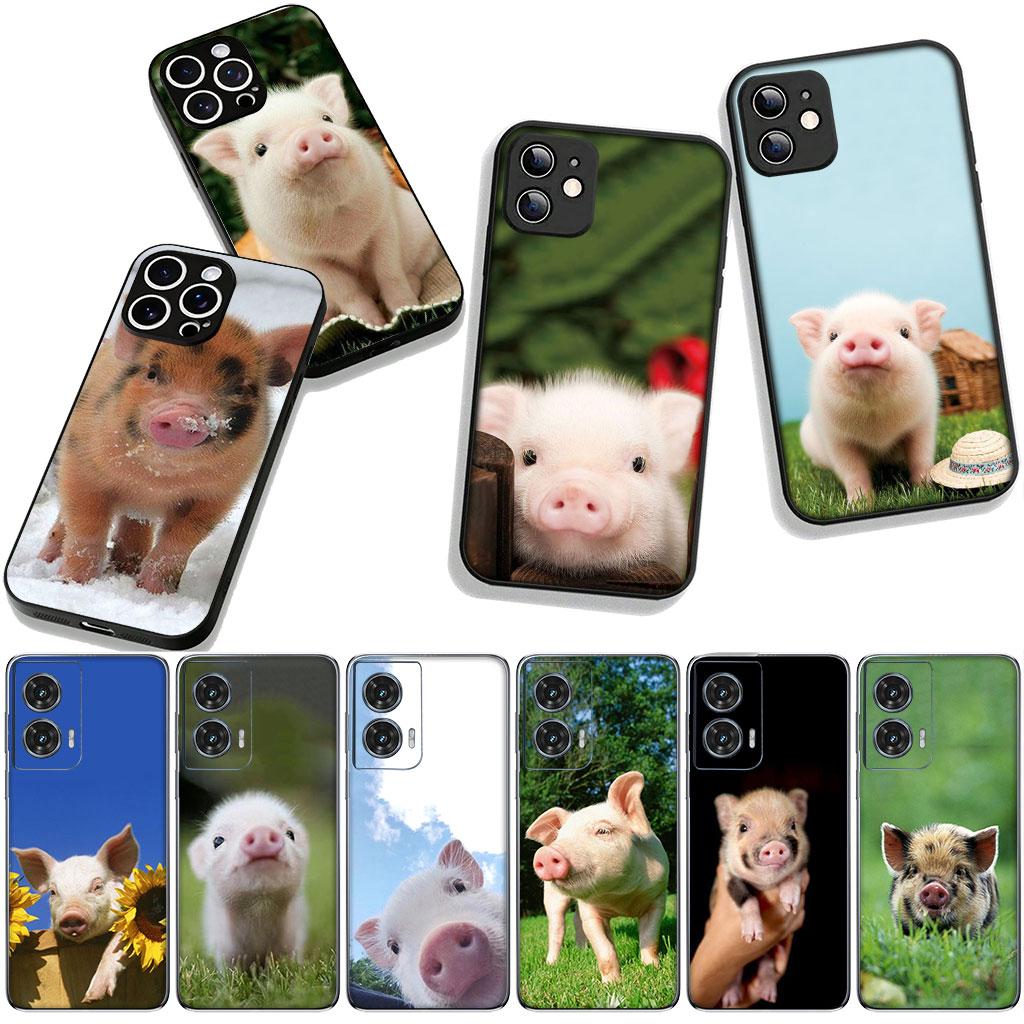 Cute Pig funny Phone Cover Case for Samsung Galaxy A36 A17 A26 A07 A35 A54 A53 A13 A33 A34 S8 S9 S20 S21 FE S10 Plus Casing