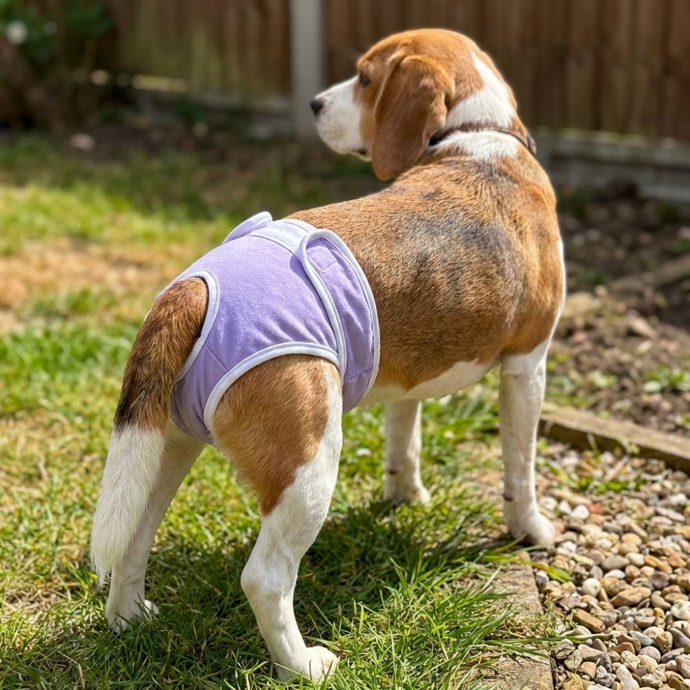 Breathable Dog Physiological Pants Leak-proof Adjustable Dog Menstrual Pants Highly Absorbent Reusable Pet Diapers