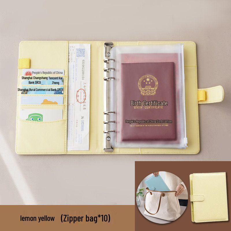 Portable Document Organizer: Card Holder, Vaccine Book, Birth Certificate, Passport, and ID Storage Bag.