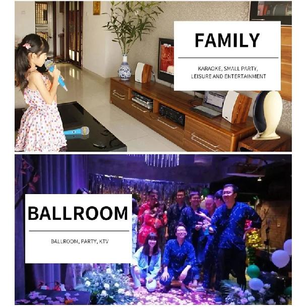 Professional BM 800 karaoke microphone BM800 studio condenser mikrofon mic bm-800 For KTV Radio Braodcasting Singing Recording