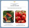 Portable Ultrasonic Fruit & Vegetable Cleaning Basket with Large Capacity & Handle