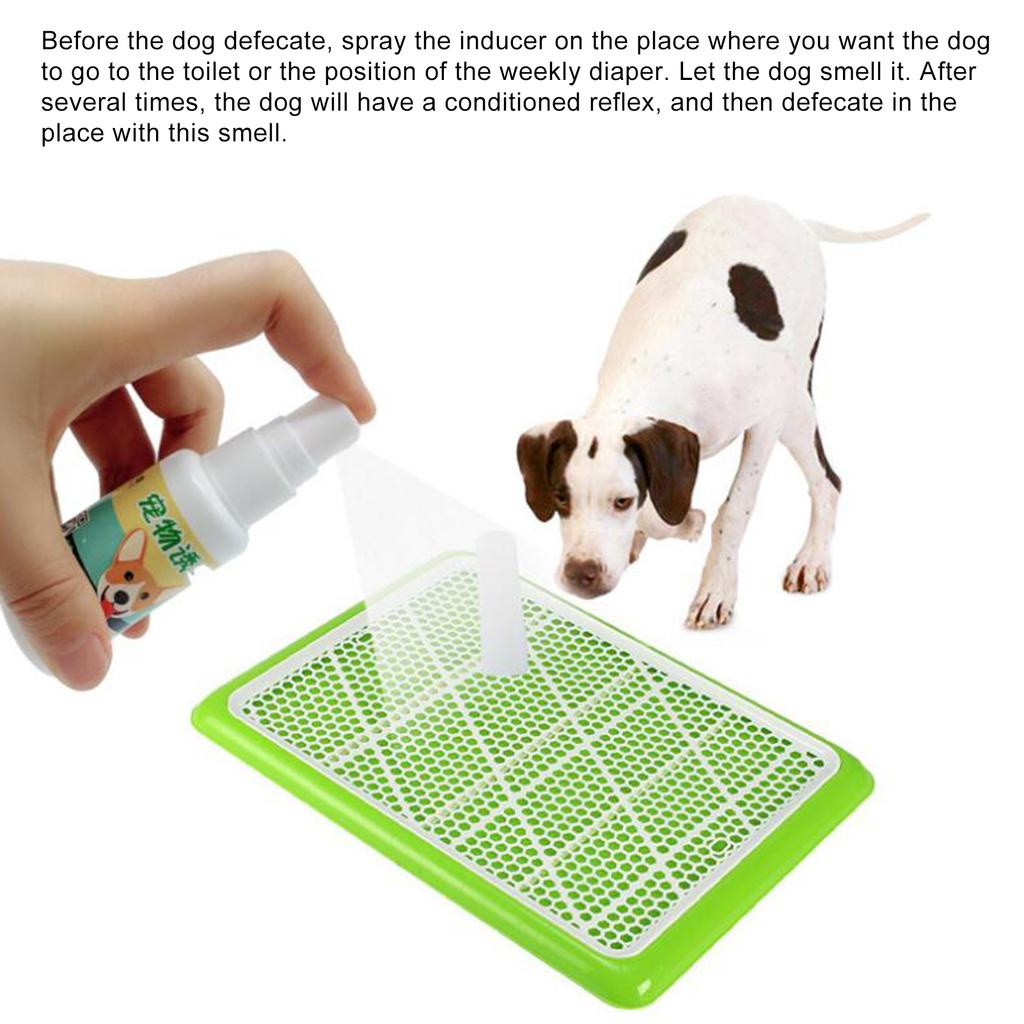 dog pee trainer