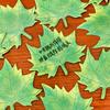 4PCS Memo Notes with Leaf Shape Smooth Writing Memo Sticker Strong Adhesive Reusable Practical Reminder Notes for Home Office