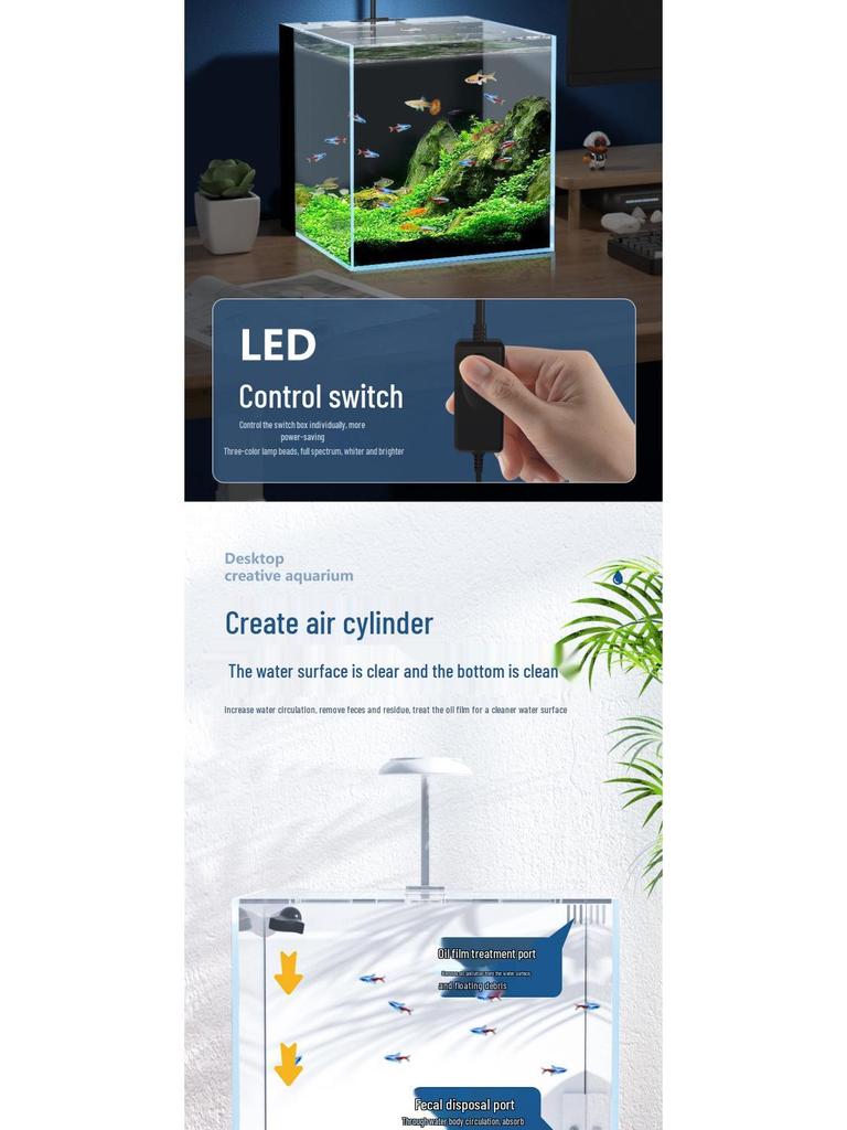 Compact Ultra-White Glass Fish Tank with Back Filter - Minimal Maintenance Desktop Aquarium for Goldfish