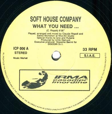 12inch Record SOFT HOUSE COMPANY - What You Need... ICP006 Irma CasaDiPrim 1990 Italy Dance & Electronica Used
