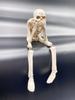 Startside See No Evil Hear No Evil Skull Figure Skeleton Interior Ornament Craft Resin Novelty Item 3-Piece Set