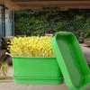 Green Sprout Dish Growing Pot Plastic Beans Seeding Pot New Plants Germination Tray