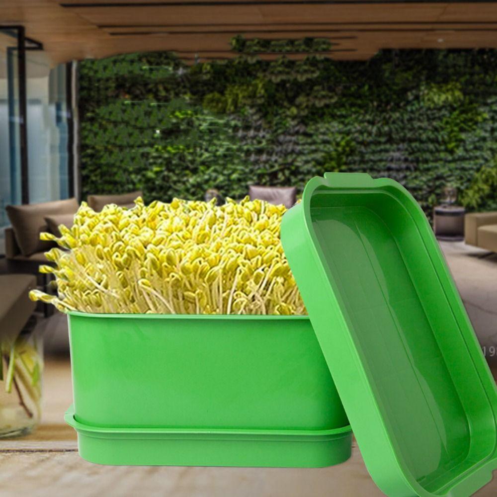 

Green Sprout Dish Growing Pot Plastic Beans Seeding Pot New Plants Germination Tray
