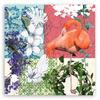 Canvas Print Flamingo and Birds Collage