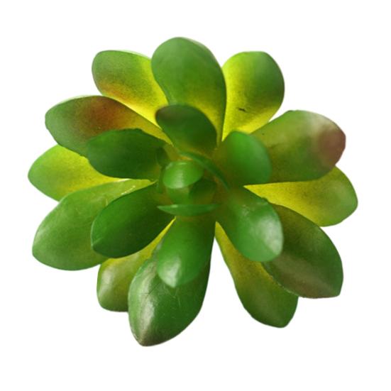 Mini Künstliche Sukkulenten Realistische Fake Kleine Kakteen Pflanzen Bunte Kunststoffe Beflockte Topflose Pflanzen für Garten Blumentopf Küche Heimdeko