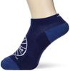 Outdoor Travel Walking Wear Travel Flight Socks B2JX0050 Patriot Blue Cm [Mizuno] & (PANAM) 25.0-27.0