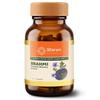Sitaram Ayurveda Gélules de Brahmi | Formule Ayurvédique pour le Bien-être Cérébral avec Extrait de Brahmi | Aide à Soutenir la Mémoire, la Concentration, la Clarté Mentale, la Vigilance