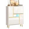 Modern Shoe Cabinet, White Shoe Cabinet with High-Gloss Front and 16-Color LED Light (80 x 25 x 96 cm)