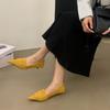 2025 Autumn New Low-heeled French Retro Pointed Single Shoes Women's Shoes Commuter Work Shoes