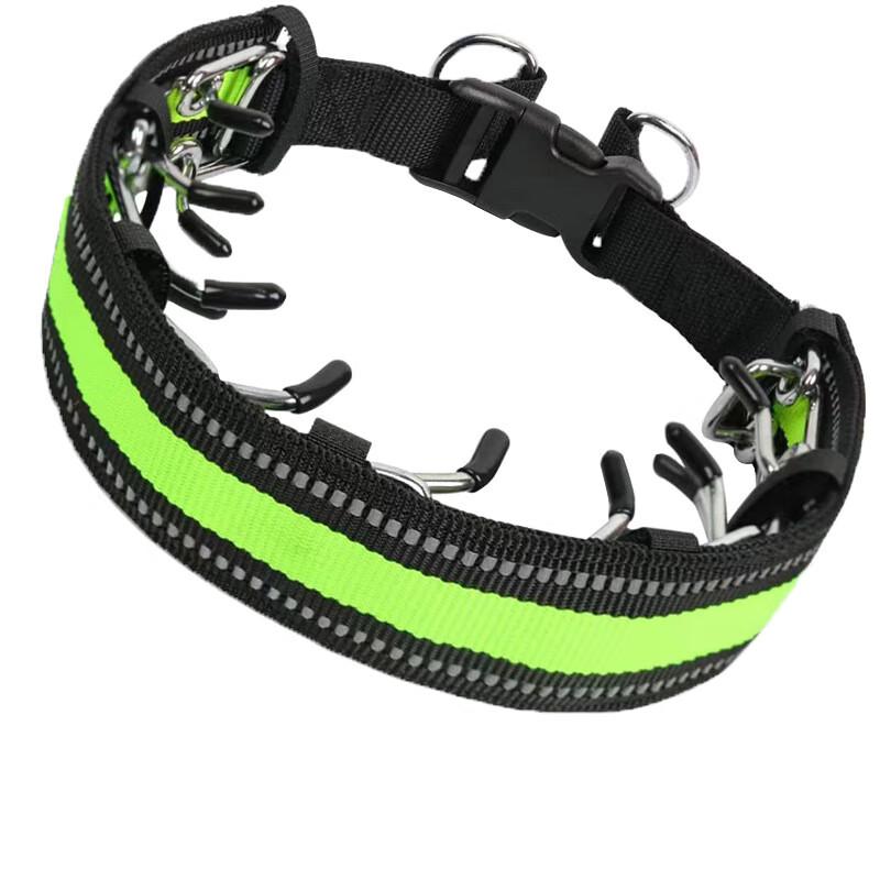 Dog Training Pinch Collar