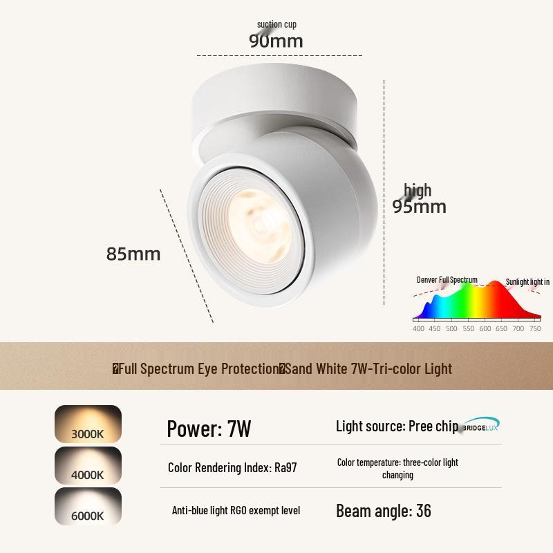 Adjustable Rotatable Surface-Mounted Downlight for Living Room, Aisle, Entrance, Bedroom - No Main Light Required