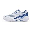 Li Ning Thunder Sonic Boom Cushioning Slip Resistant Abrasion Resistant Low top Badminton Shoes Unisex White Blue AYTV005-1