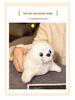Internet Celebrity Seal Plush Keychain: Cute Aquarium Seal Doll, Sleeping Hug Pillow, Ornament, Birthday Gift